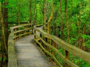 La Jolla Coast Walk Trail: A Scenic Family Stroll by the Sea