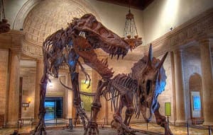 Free Museum Day at the Natural History Museum @ Natural History Museum | Los Angeles | California | United States